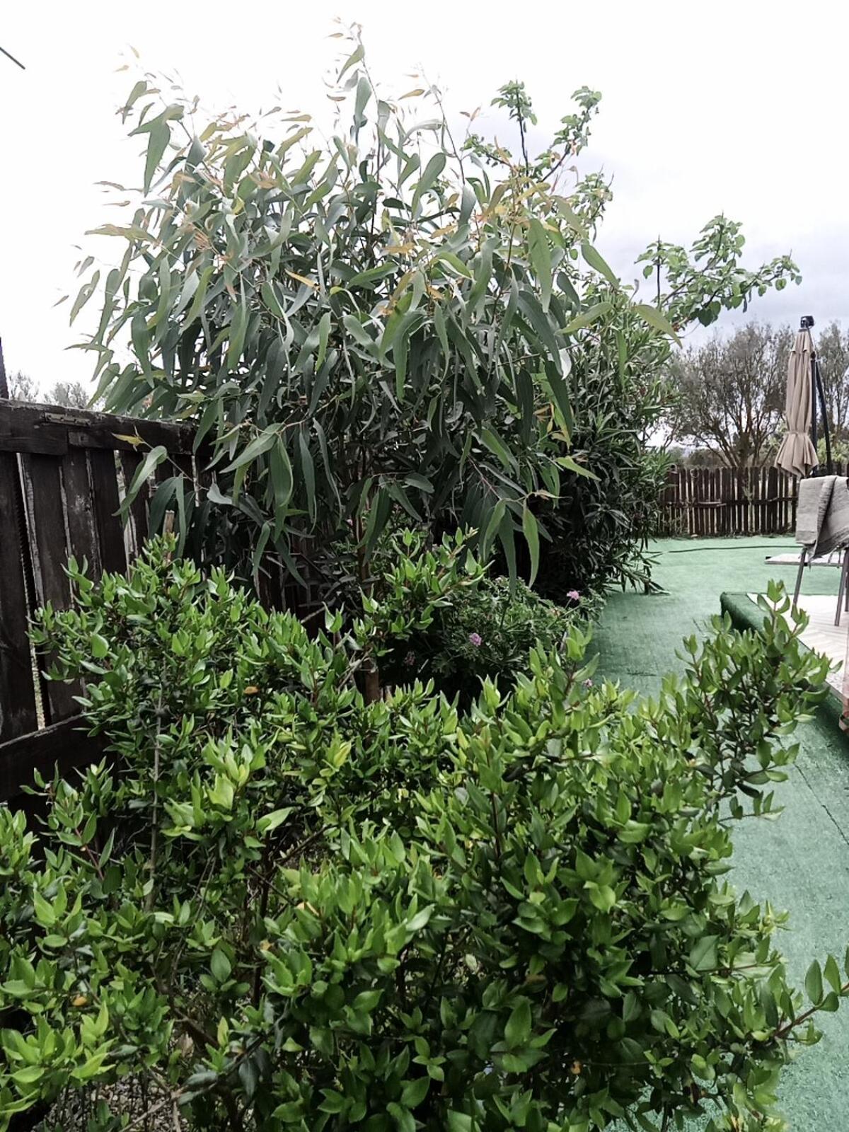 Podere Kiri Dome Experience Decimomannu Exterior foto
